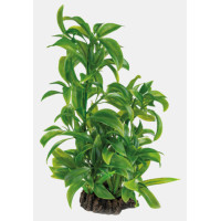 ART PLANT DRACAENA